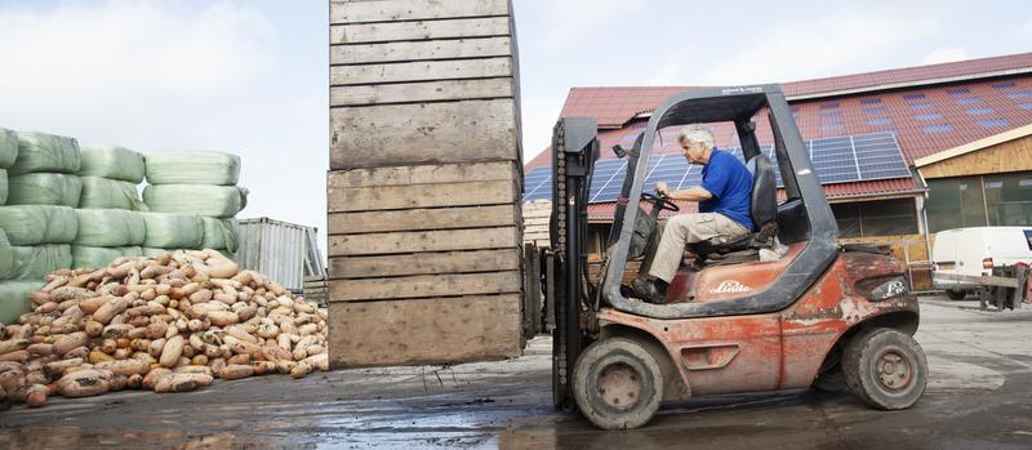 Pompoenoogst van Tom Saat, biodynamische stadsboerderij Almere