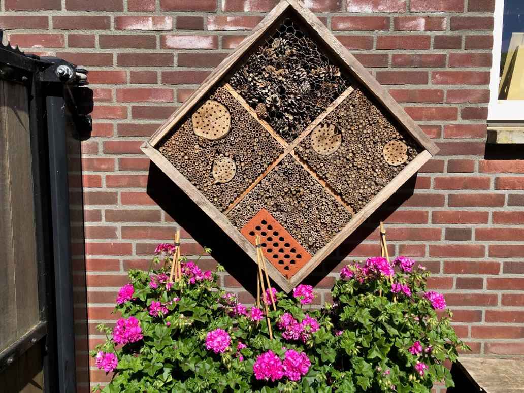 Bijenhotel van het model Andrena